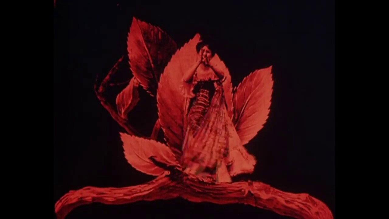 Metamorphosis of a Butterfly 1904 movie scene