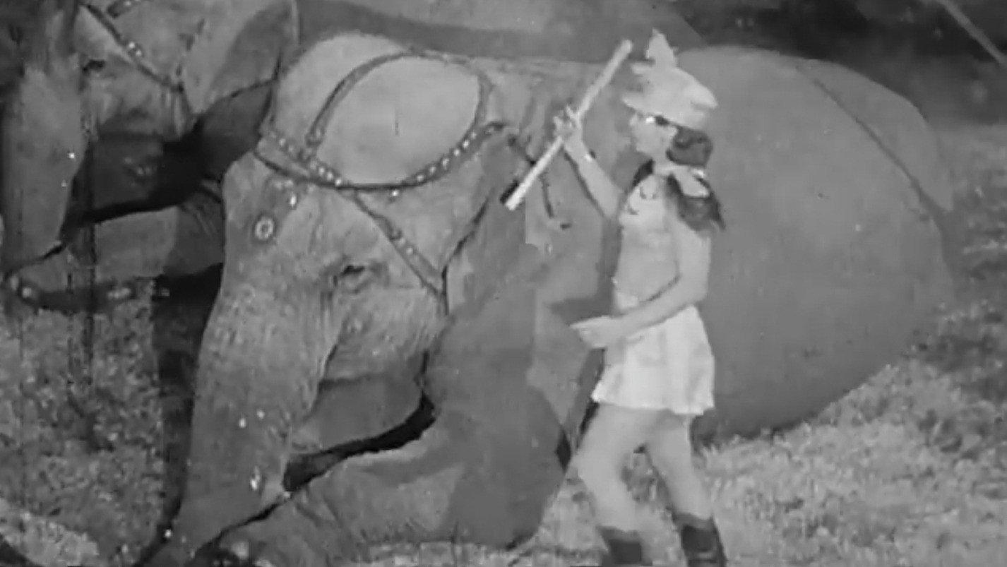 Here Comes the Circus 1946 movie scene