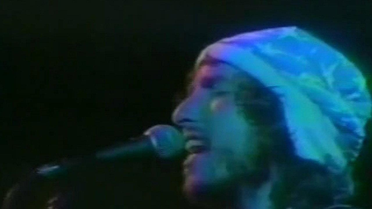 Bob Dylan: Rolling Thunder Revue, Clearwater 1976 1976 movie scene