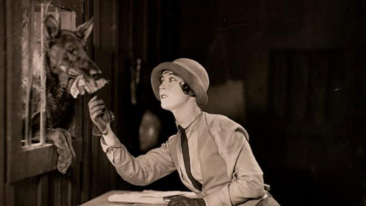 The Four-Footed Ranger 1928 movie scene