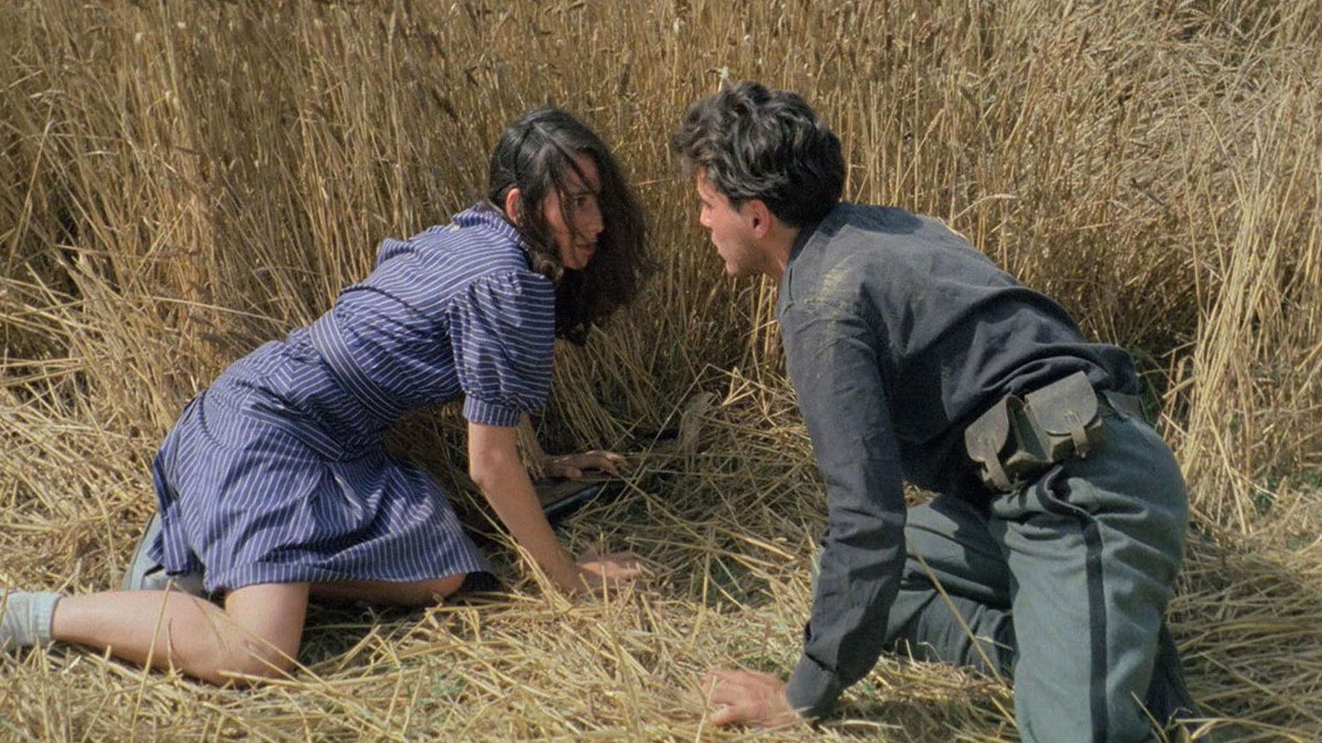 The Night of the Shooting Stars 1982 movie scene