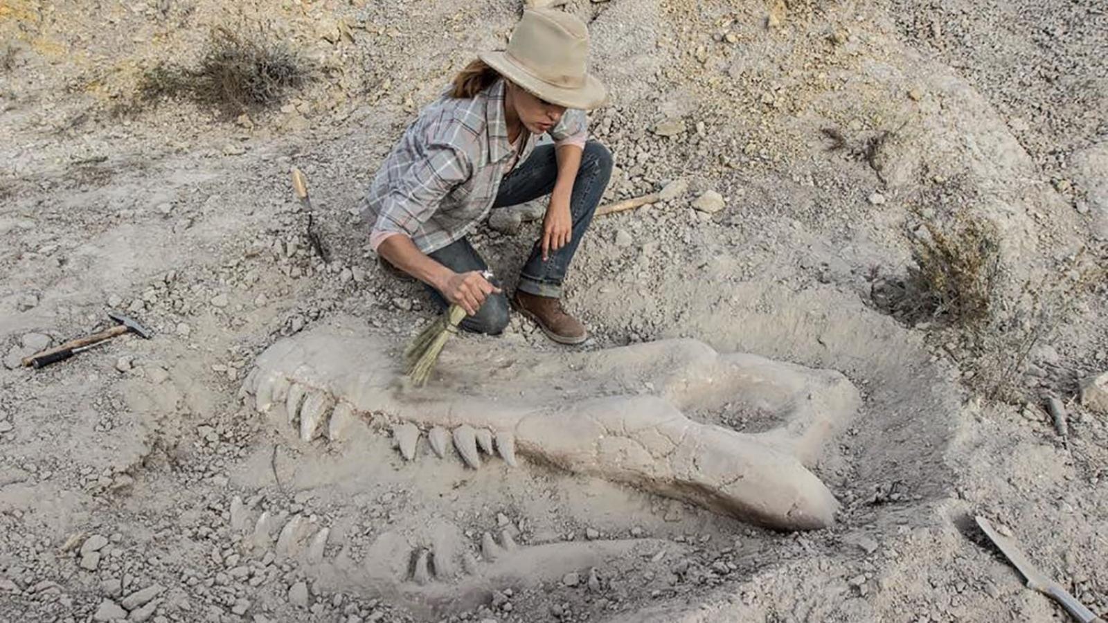 Valley of Bones 2017 movie scene