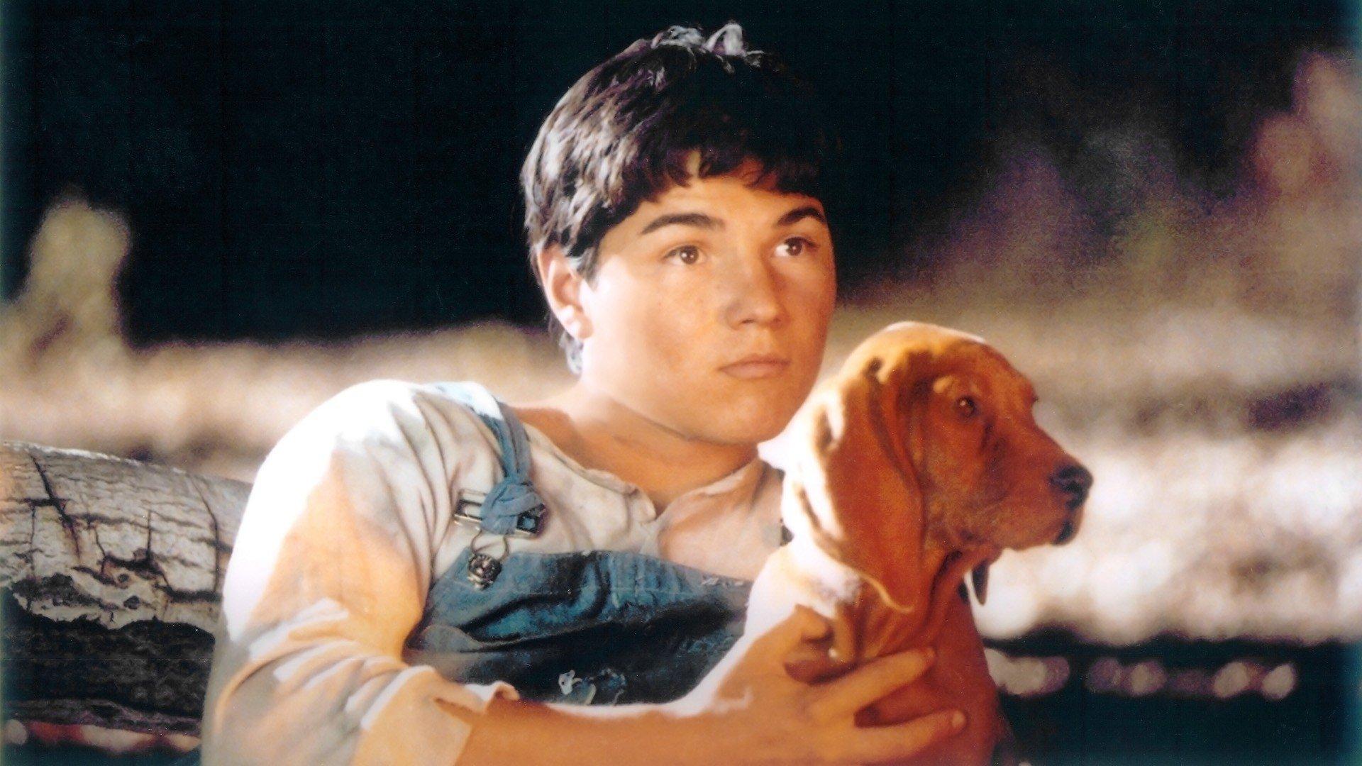 Where the Red Fern Grows 2003 movie scene