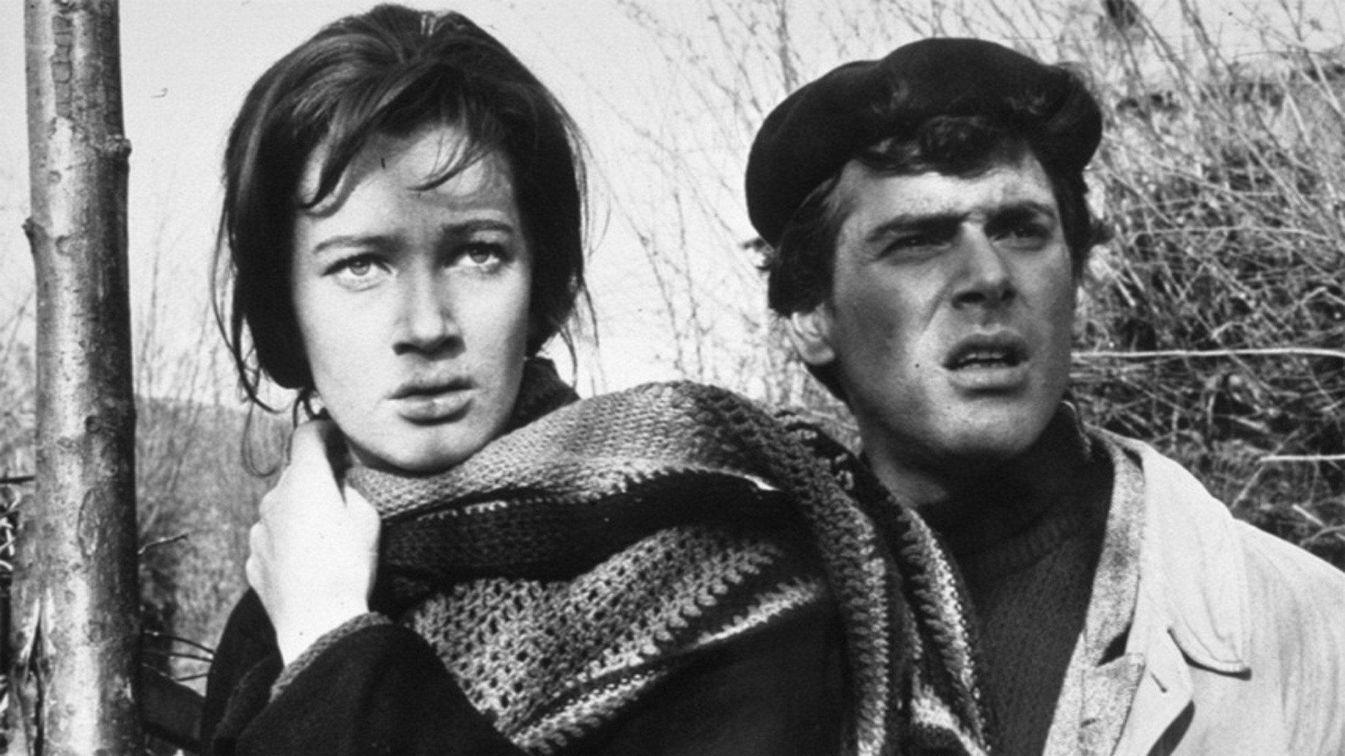 A Day for Lionhearts 1961 movie scene