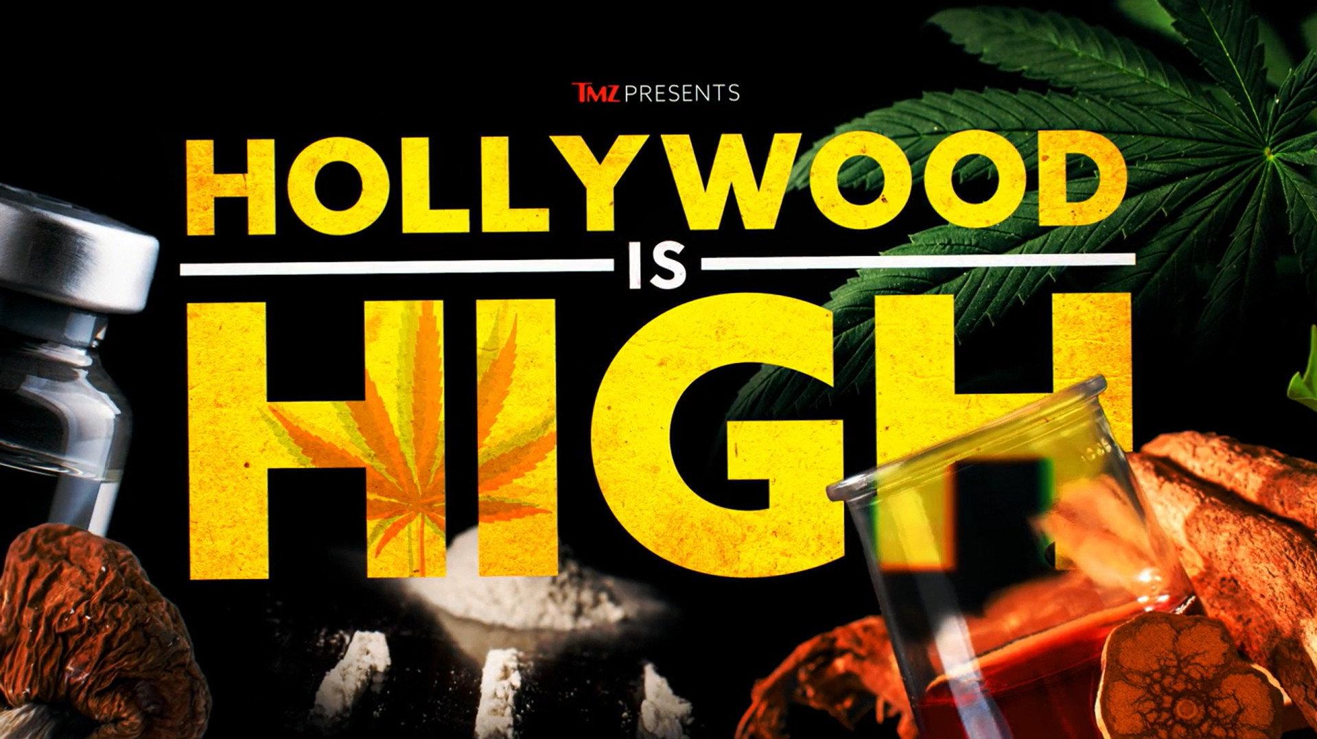 TMZ Presents: Hollywood is High 2024 movie scene