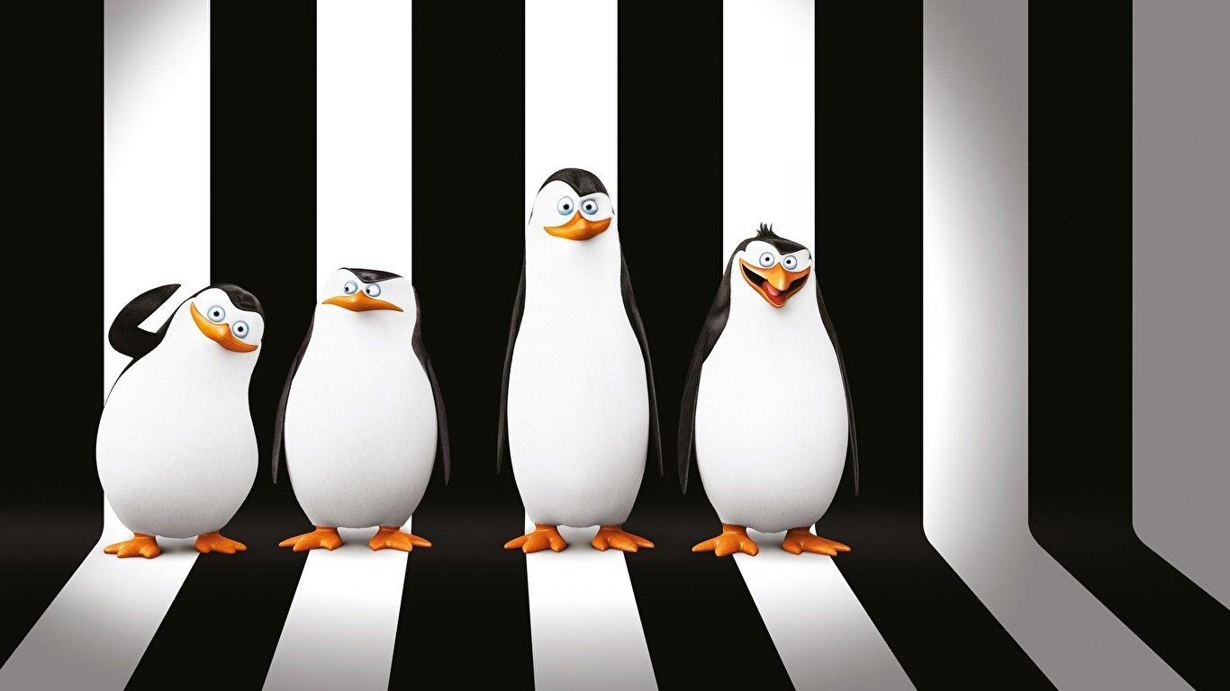 The Penguins of Madagascar - Operation: Penguin Takeover 2014 movie scene