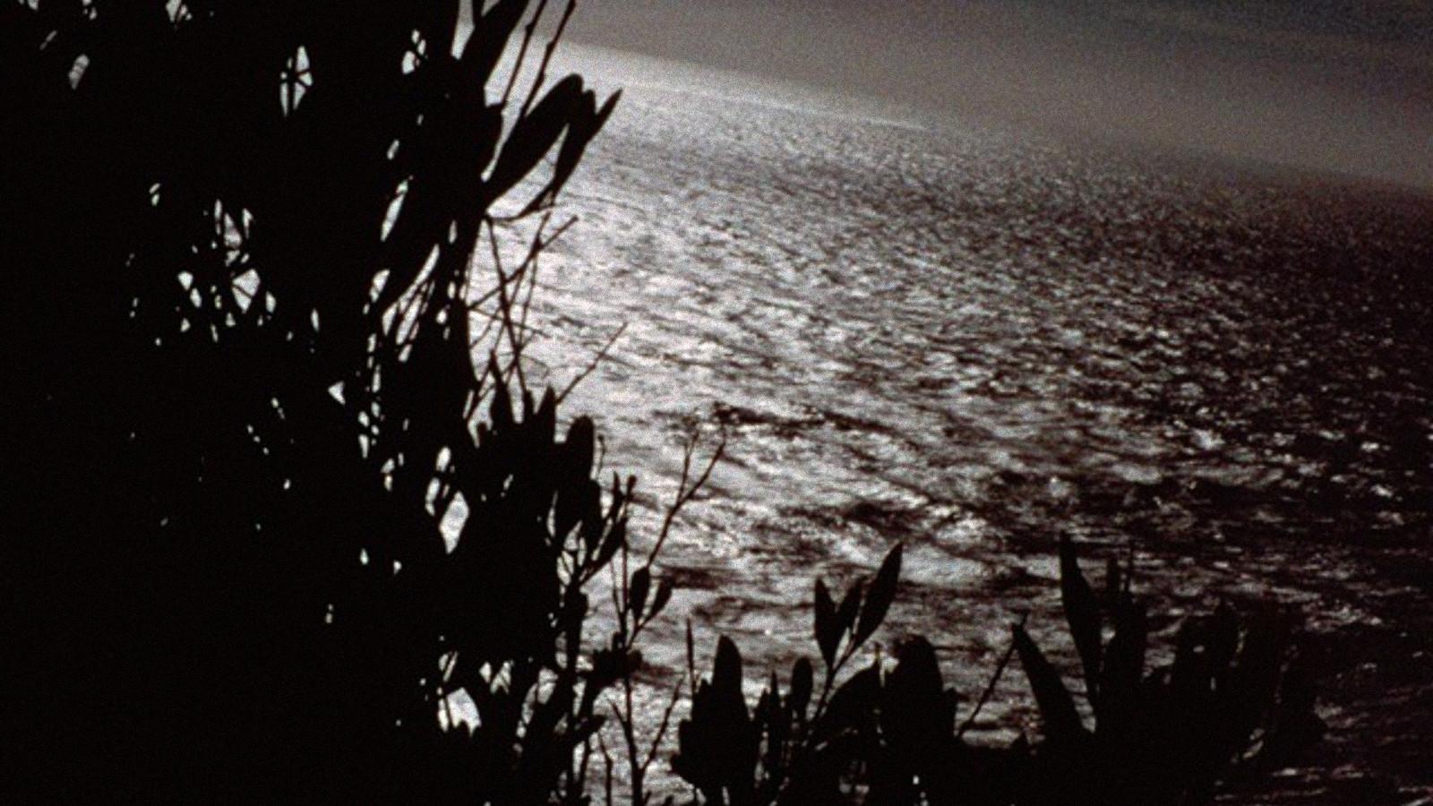 Threnody 2004 movie scene