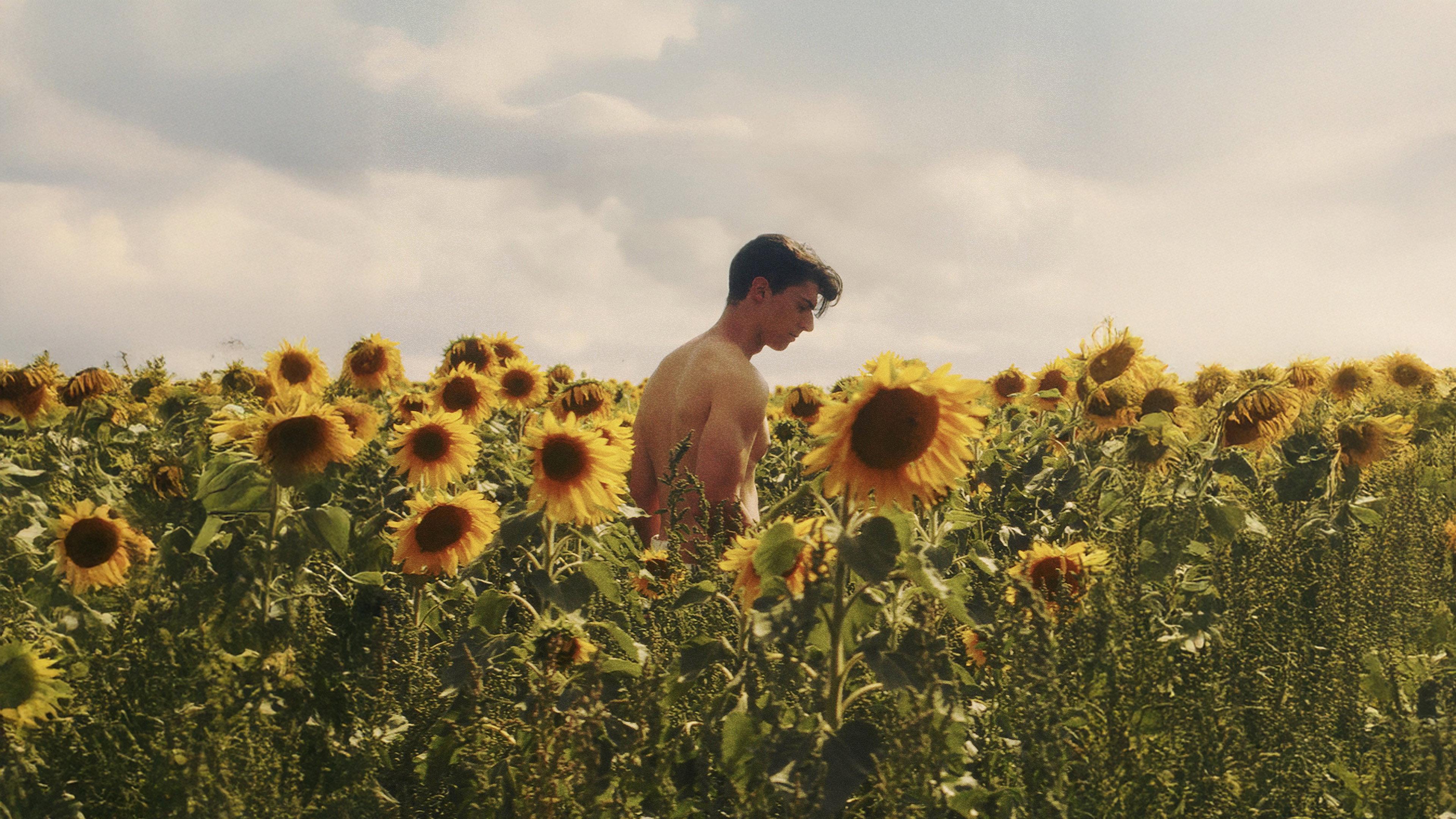 Sunflower 2024 movie scene