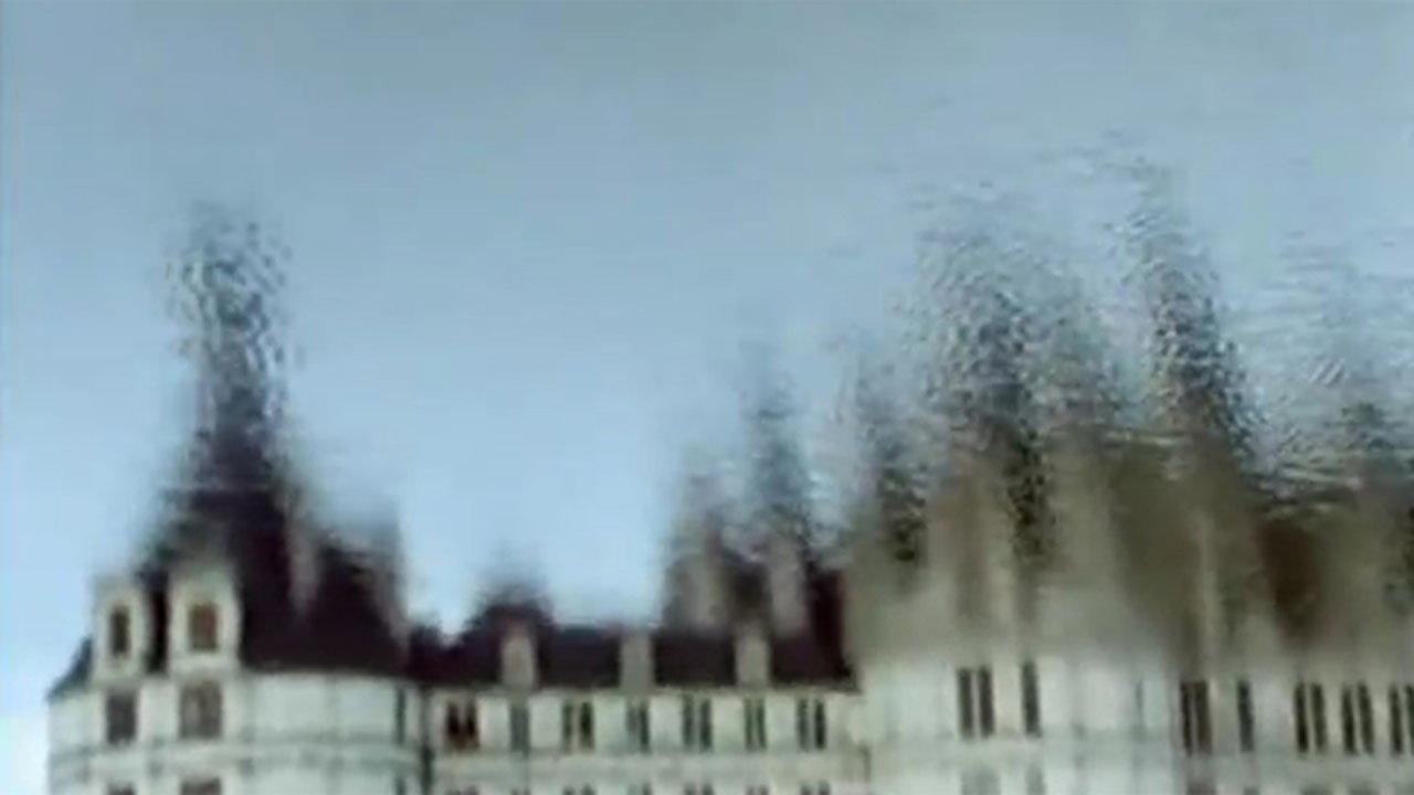 The Divisions of Nature 1978 movie scene