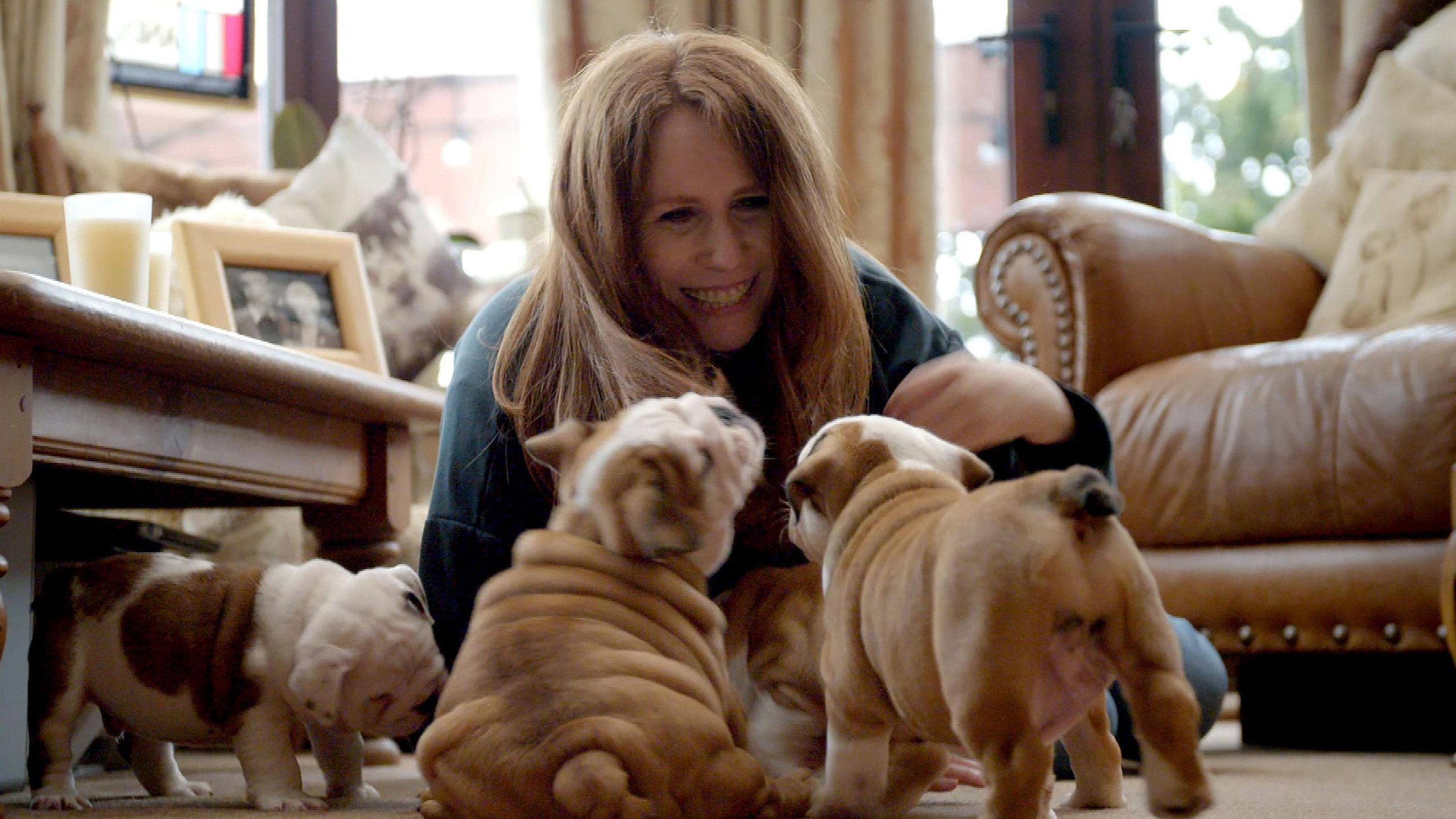 Saving the British Bulldog 2018 movie scene
