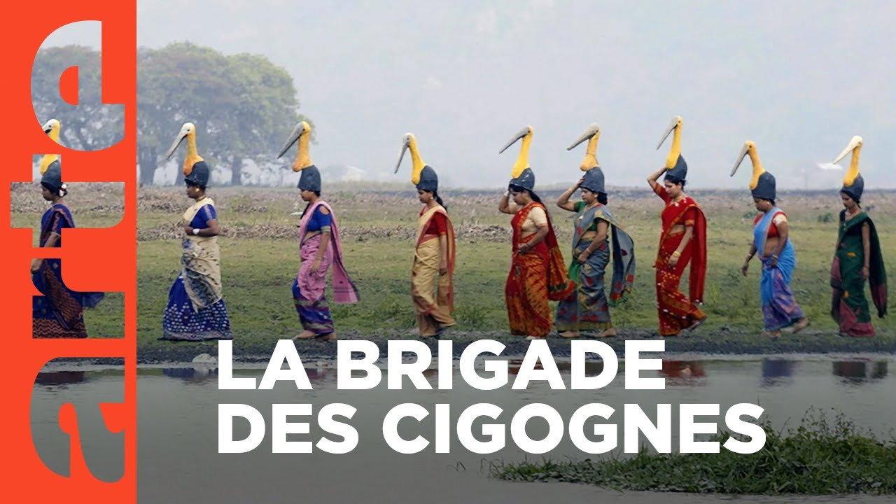 Inde, la brigade des cigognes 2022 movie scene