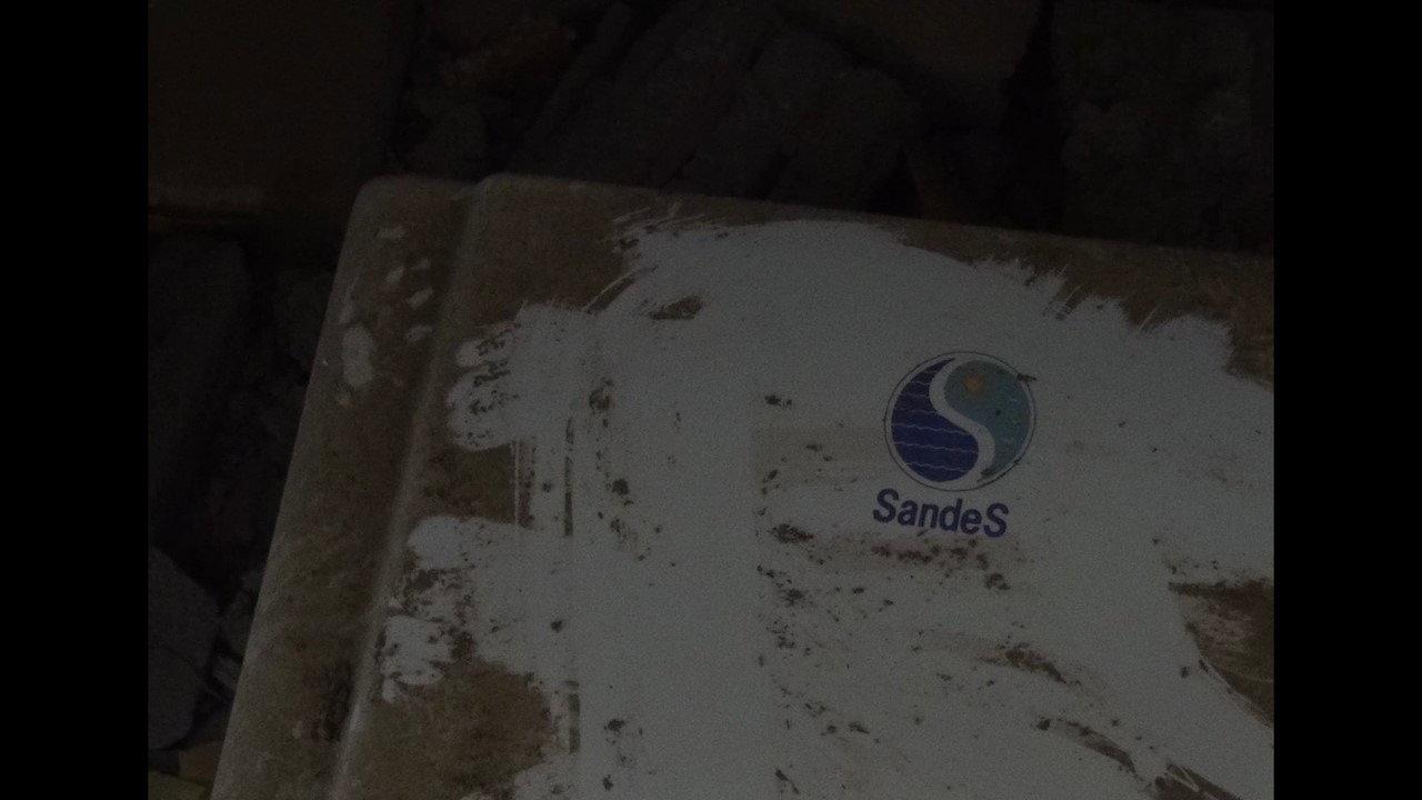 Sandes 2022 movie scene