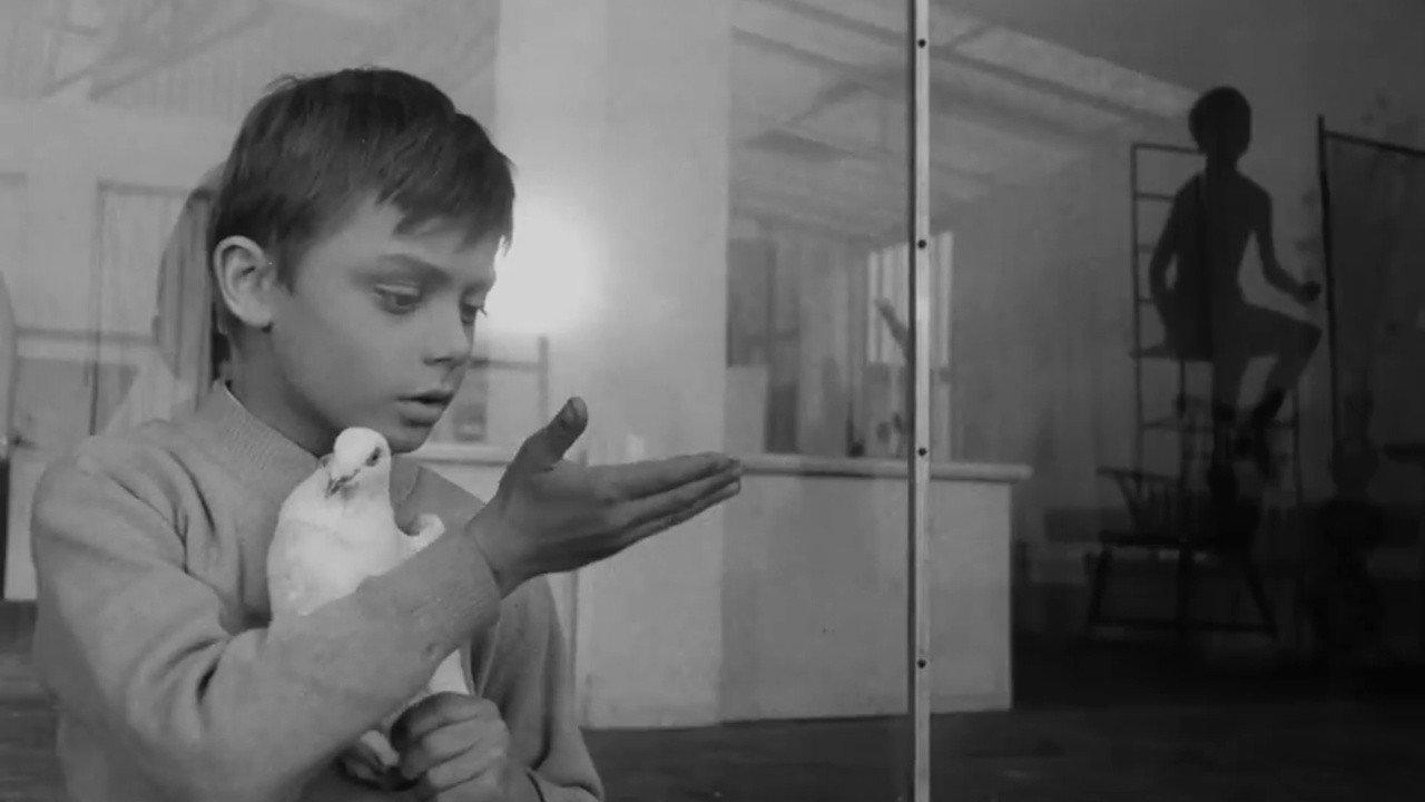 The White Dove 1960 movie scene