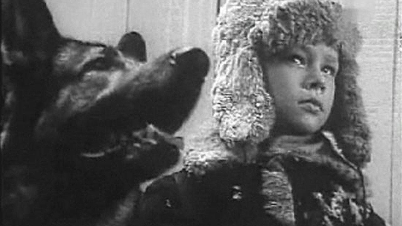 The Cropped Devil 1969 movie scene