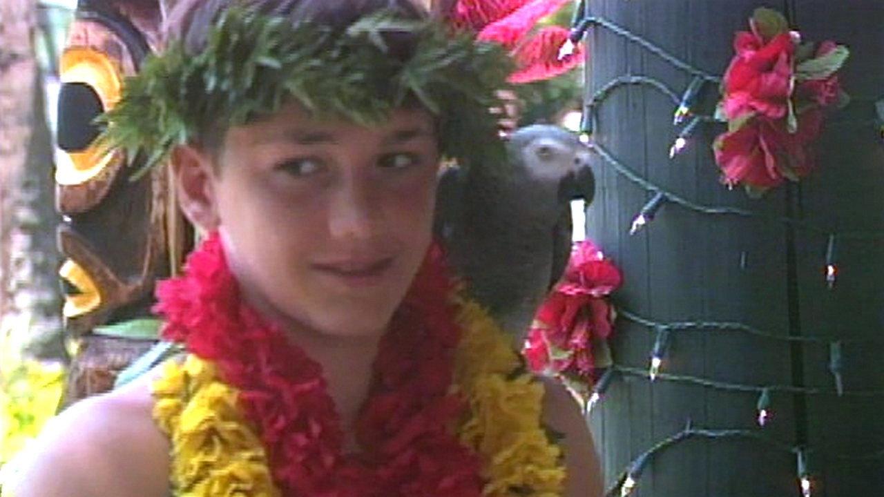 Iki Haole: Nico's Hawaiian Adventure 1995 movie scene