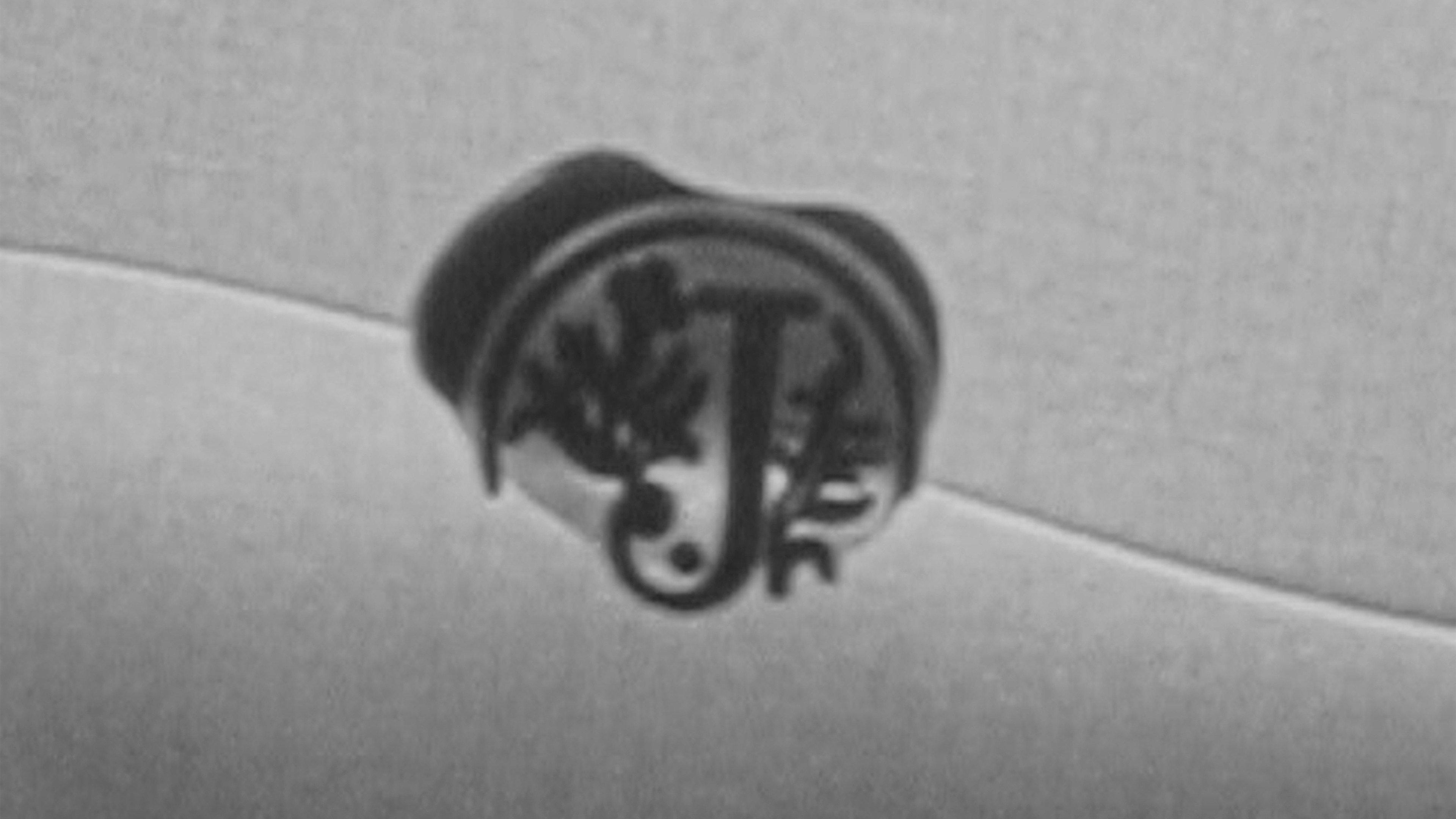 letter to a dead bird 2026 movie scene