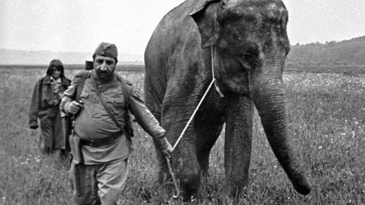 The Soldier and the Elephant 1978 movie scene
