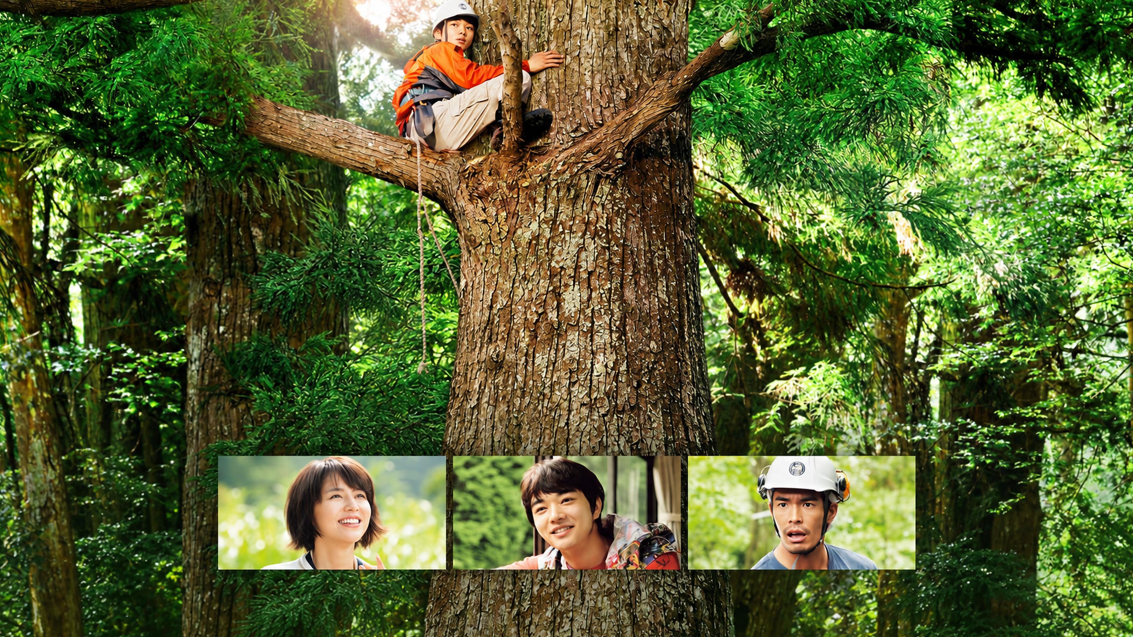 Wood Job! 2014 movie scene