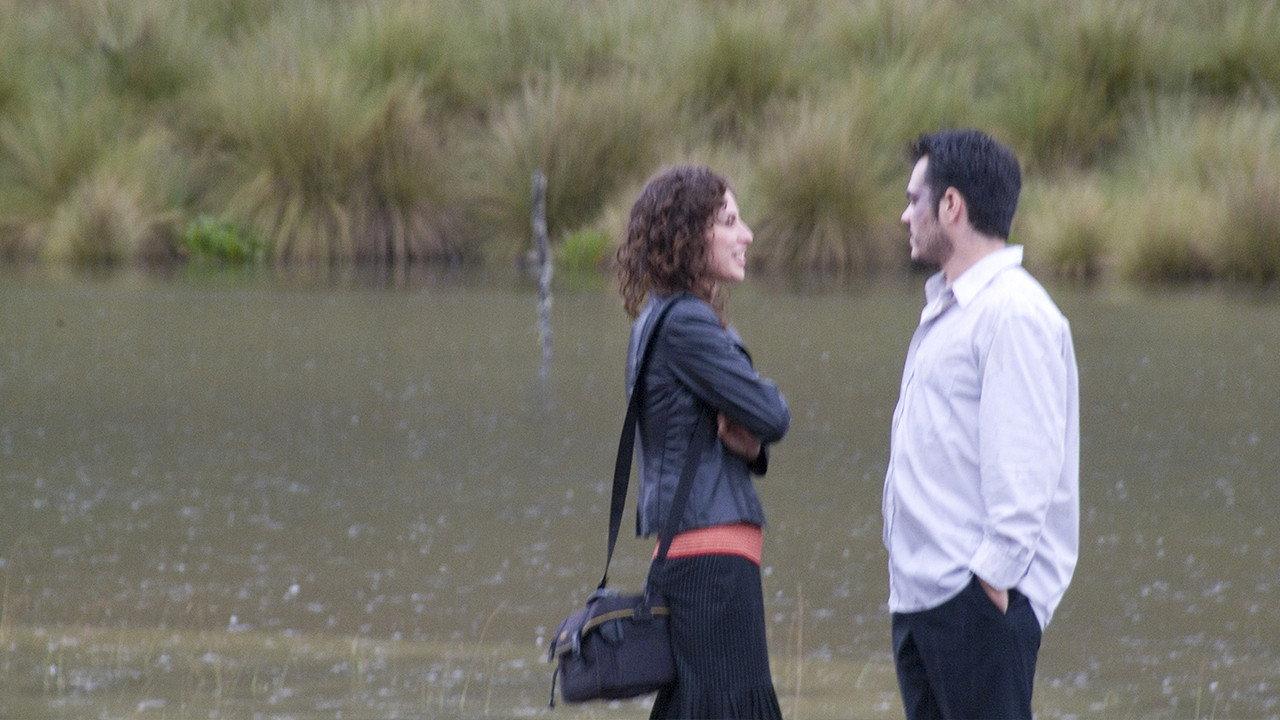 The Kidnapping 2007 movie scene