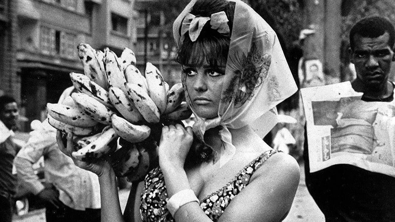 A Rose for Everyone 1967 movie scene