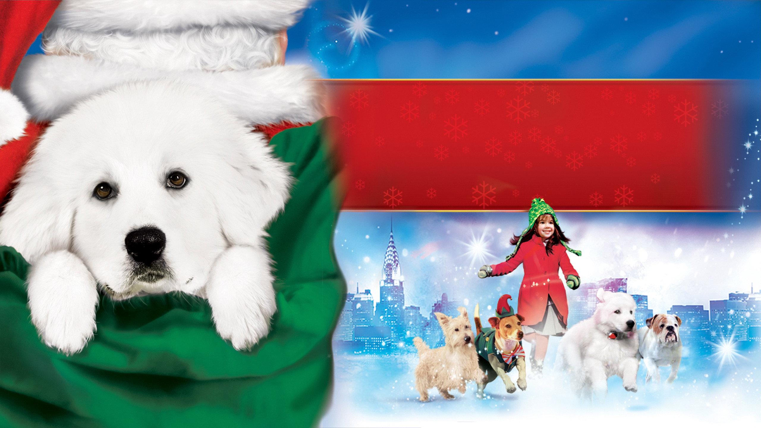 The Search for Santa Paws 2010 movie scene