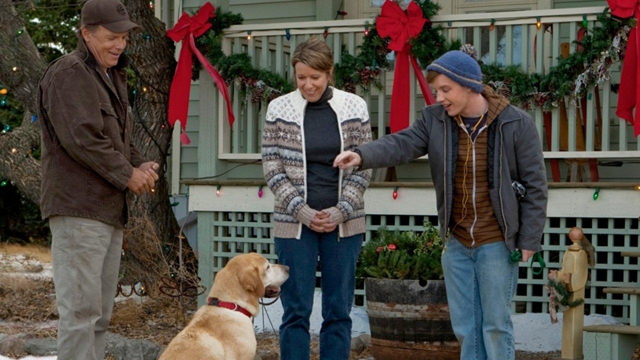 A Dog Named Christmas 2009 movie scene