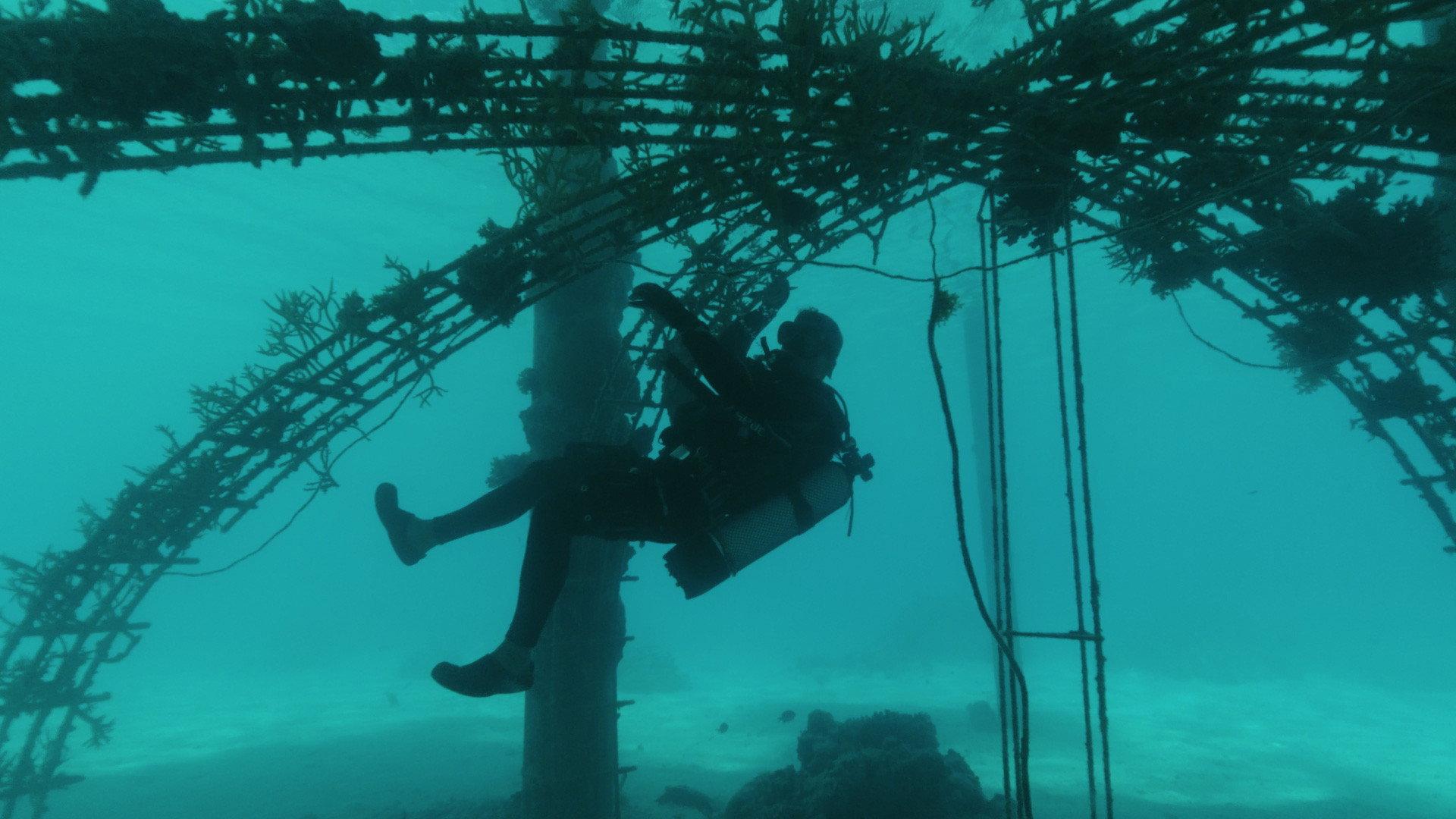 Bora Bora, le laboratoire du futur 2022 movie scene