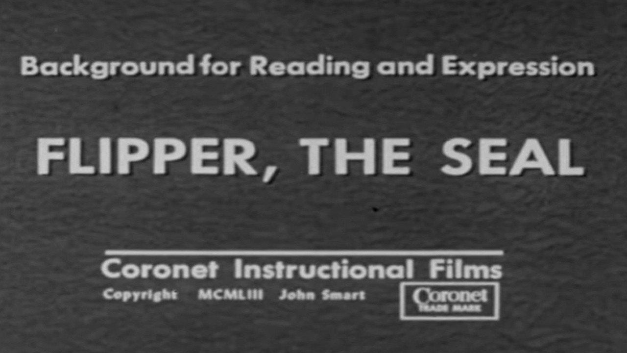 Flipper, The Seal 1953 movie scene