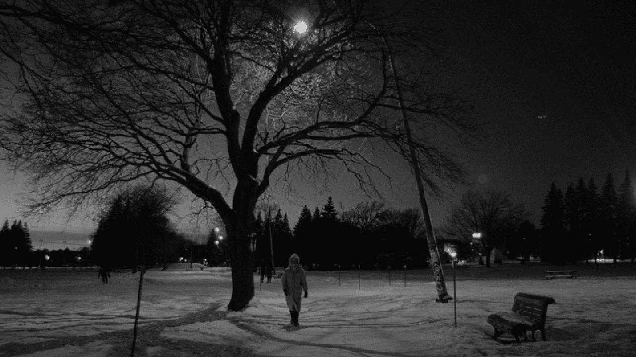 Snowflakes at the End of the World 2025 movie scene