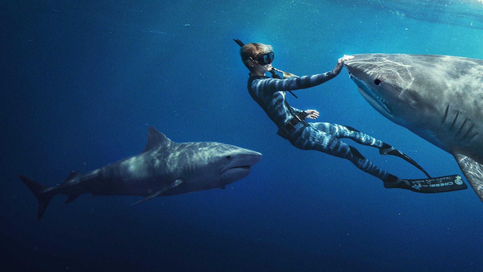 Shark Whisperer 2025 movie scene