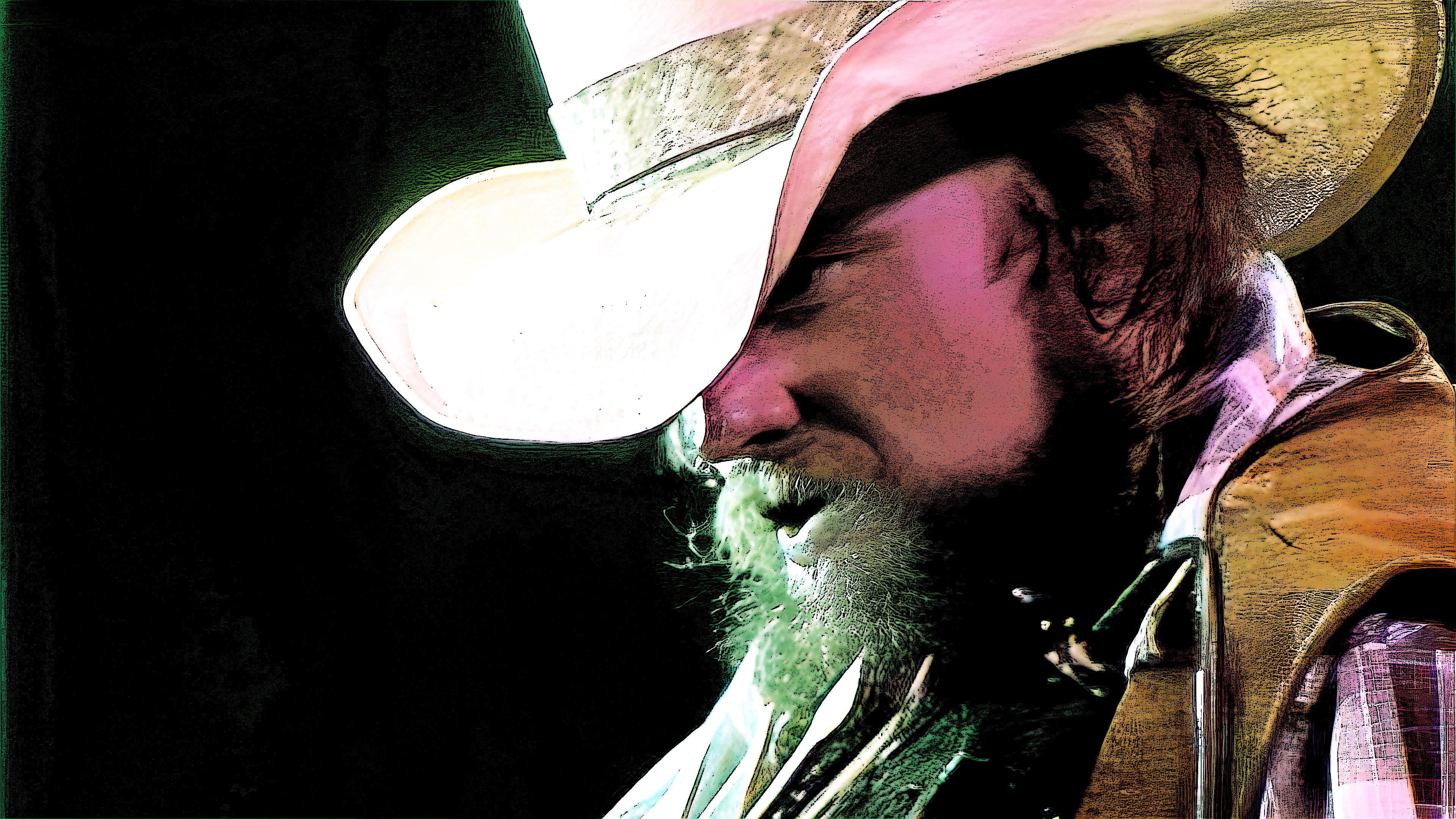 The Charlie Daniels Band: Volunteer Jam 1975 1976 movie scene