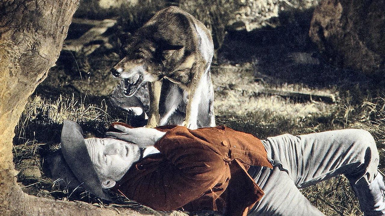 Hills of Kentucky 1927 movie scene