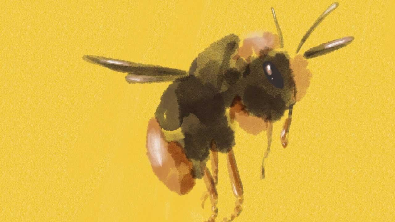 Bumblebee 2024 movie scene