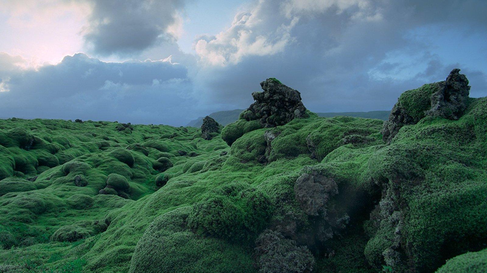 Voyage of Time: The IMAX Experience 2016 movie scene