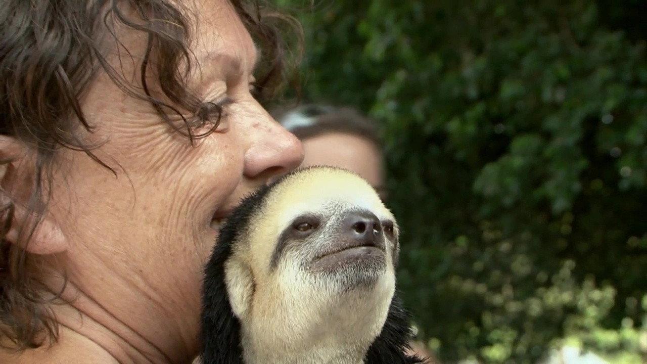 D’une jungle à l’autre 2012 movie scene