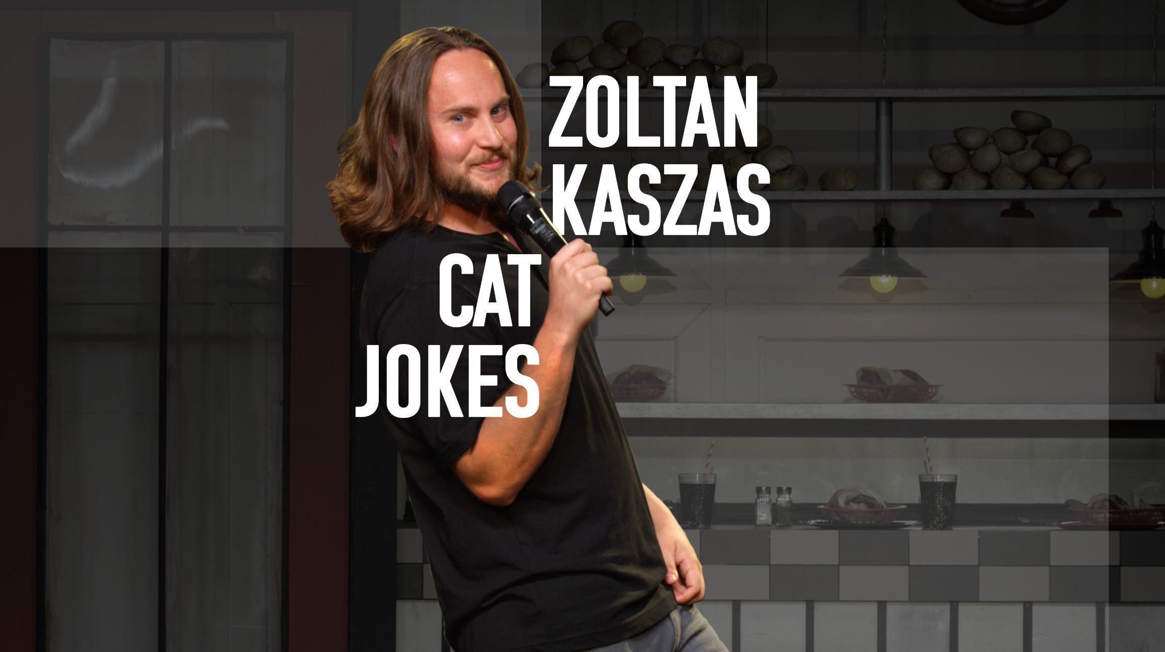 Zoltan Kaszas: Cat Jokes 2017 movie scene