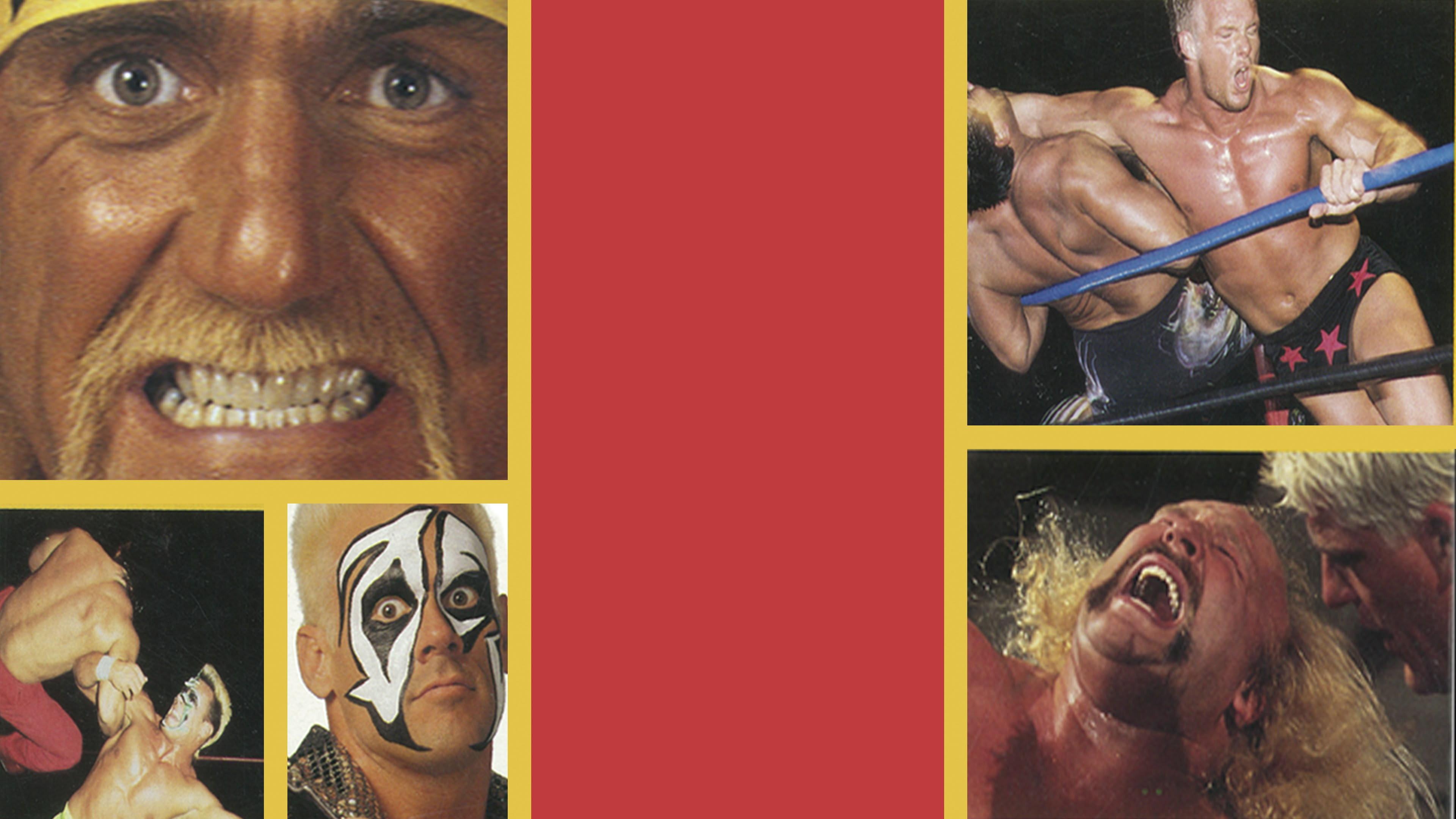 WCW Slamboree 1995 1995 movie scene