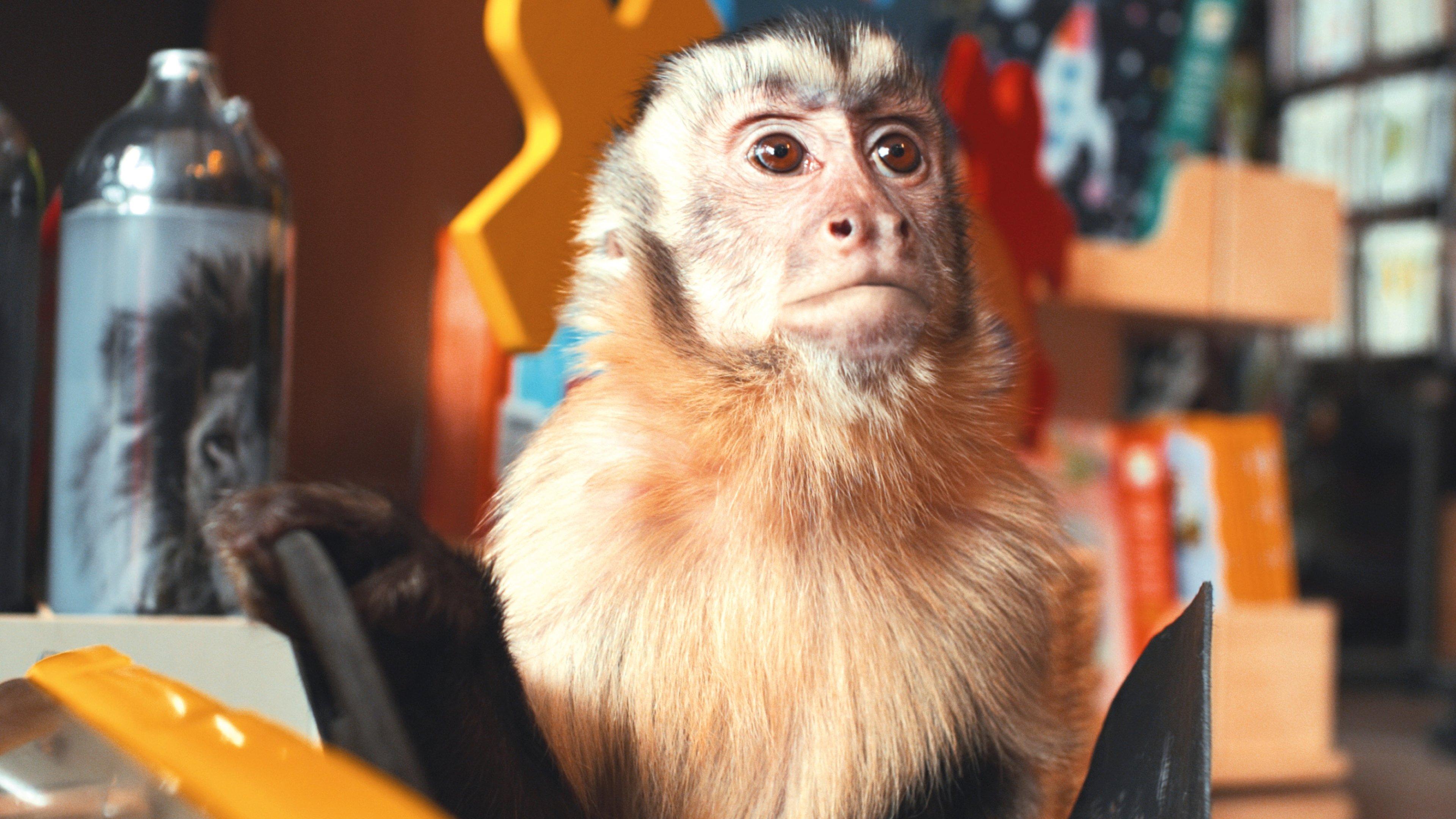 Akiko, the Flying Monkey 2025 movie scene
