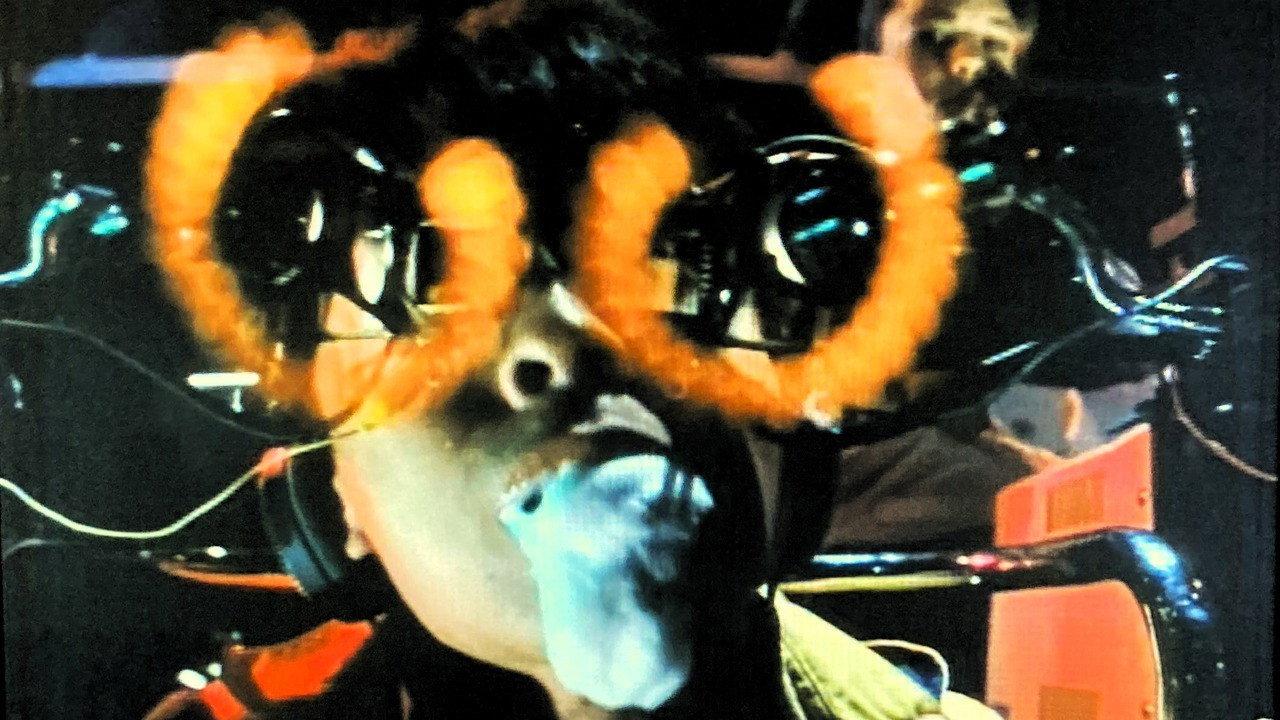 It's All Right, My Friend 1983 movie scene
