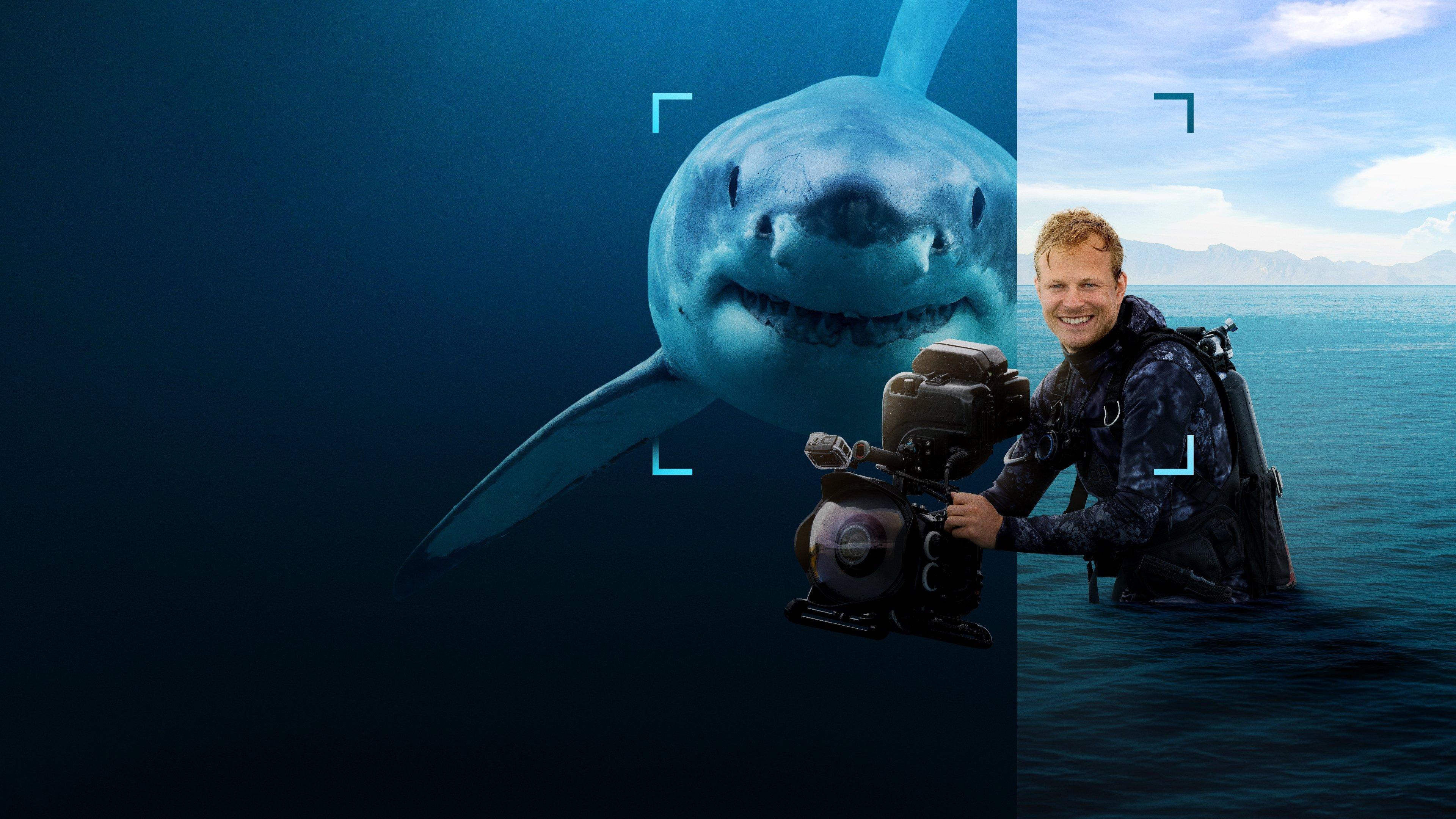 Sharks Up Close with Bertie Gregory 2025 movie scene