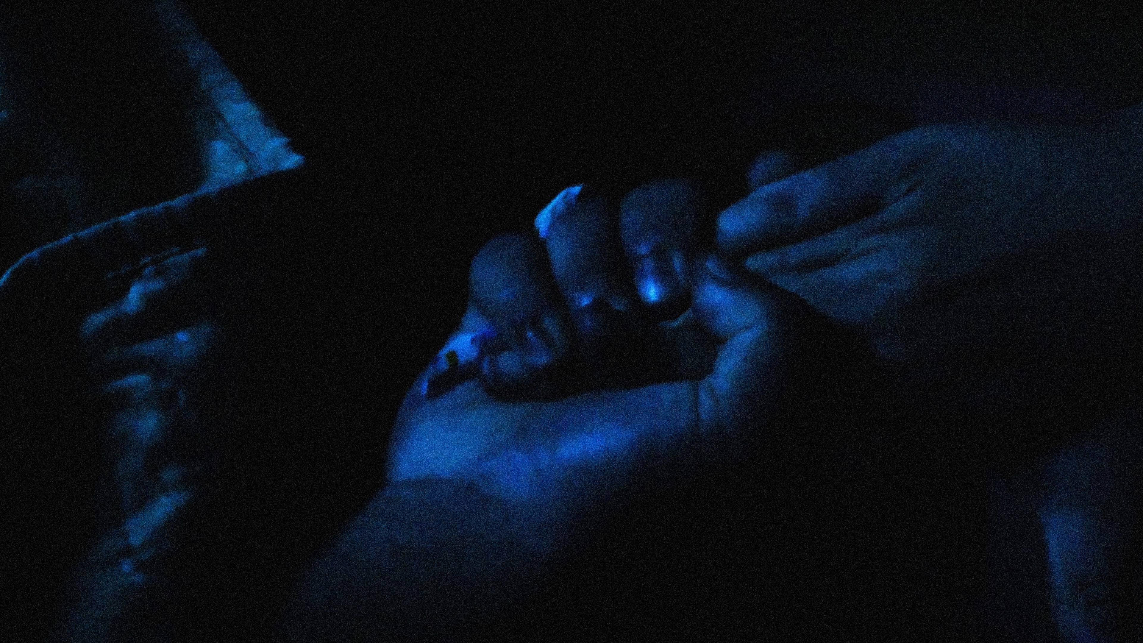 En lo oscuro no se ve 2024 movie scene