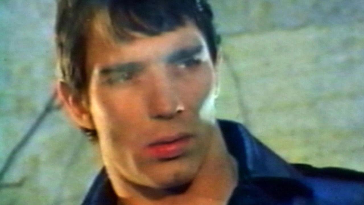 Mondo Homo: A Study of French Gay Porn in the '70s 2014 movie scene