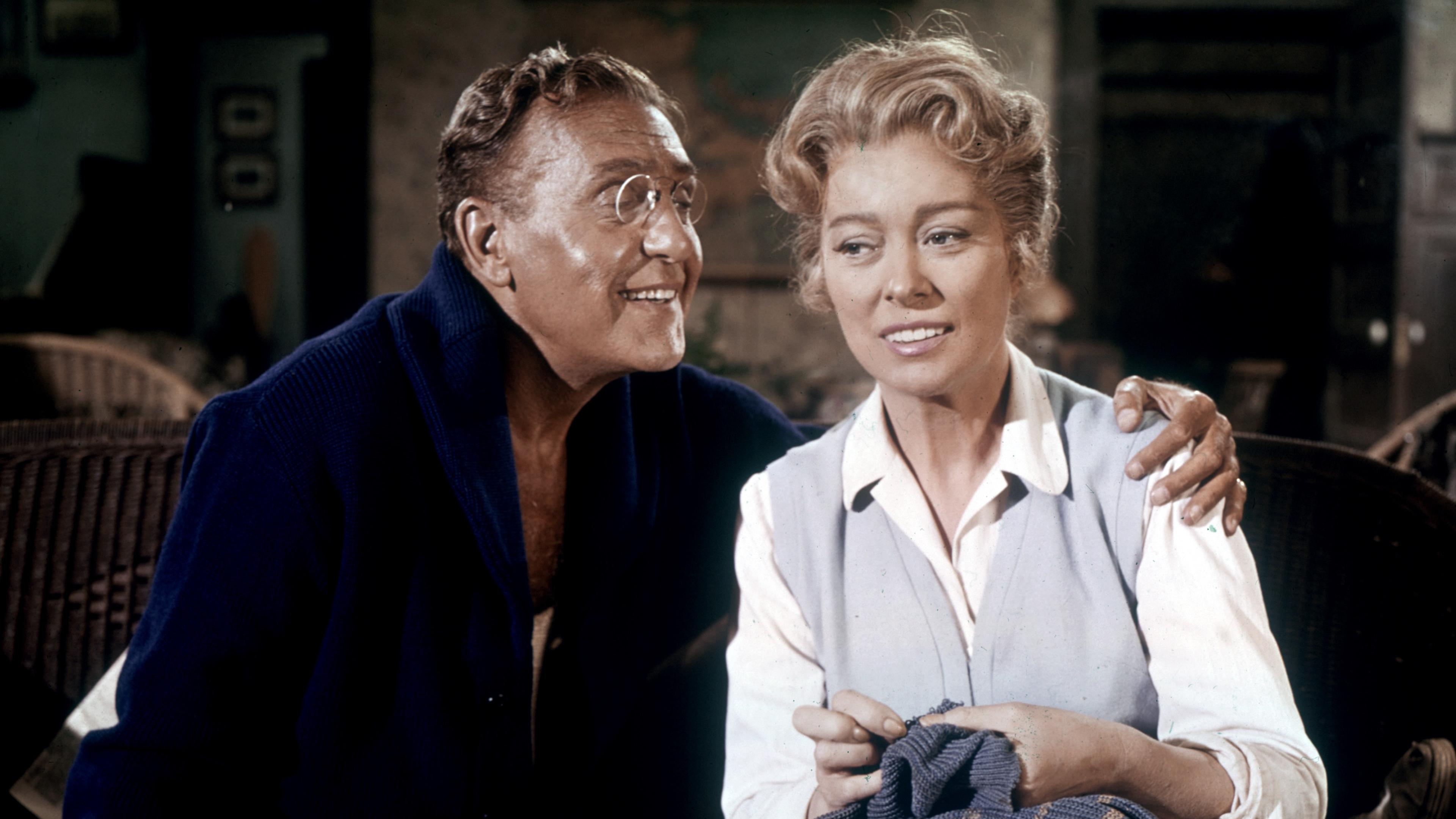 Sunrise at Campobello 1960 movie scene