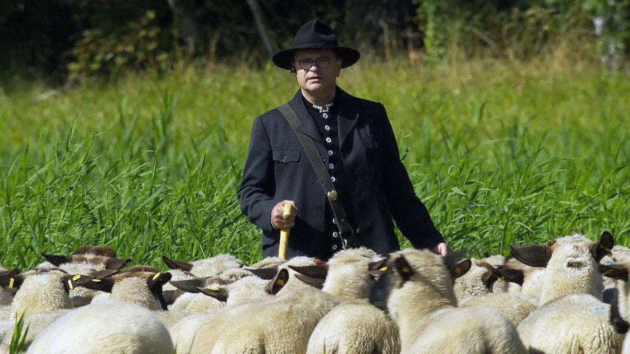Les tribulations d'un berger transhumant 2021 movie scene