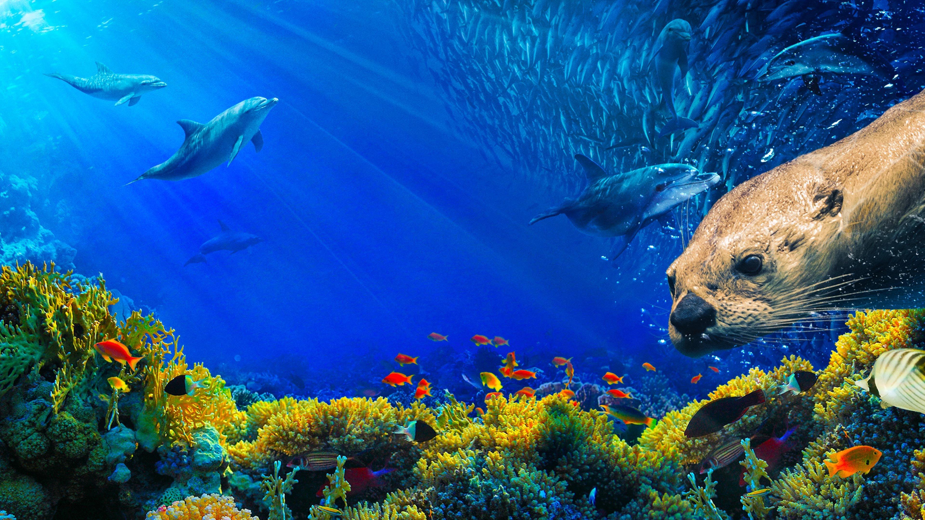 Oceans: Our Blue Planet 2018 movie scene