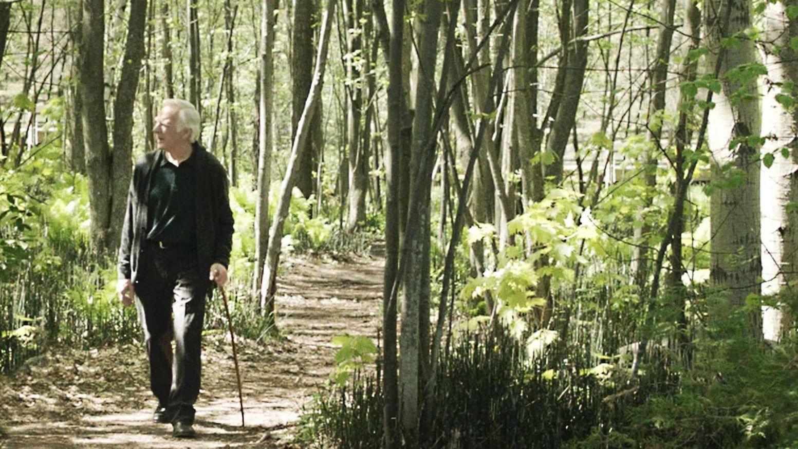 The Diary of an Old Man 2015 movie scene