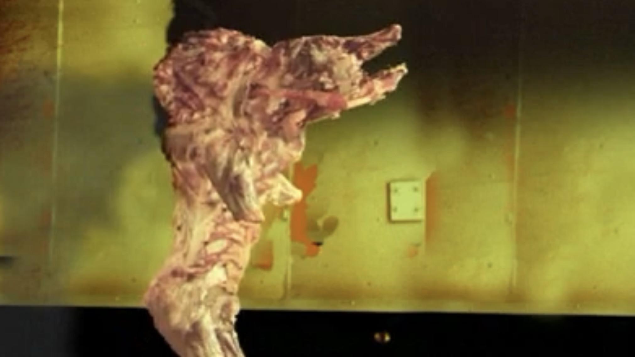 The Pig Walks 2002 movie scene