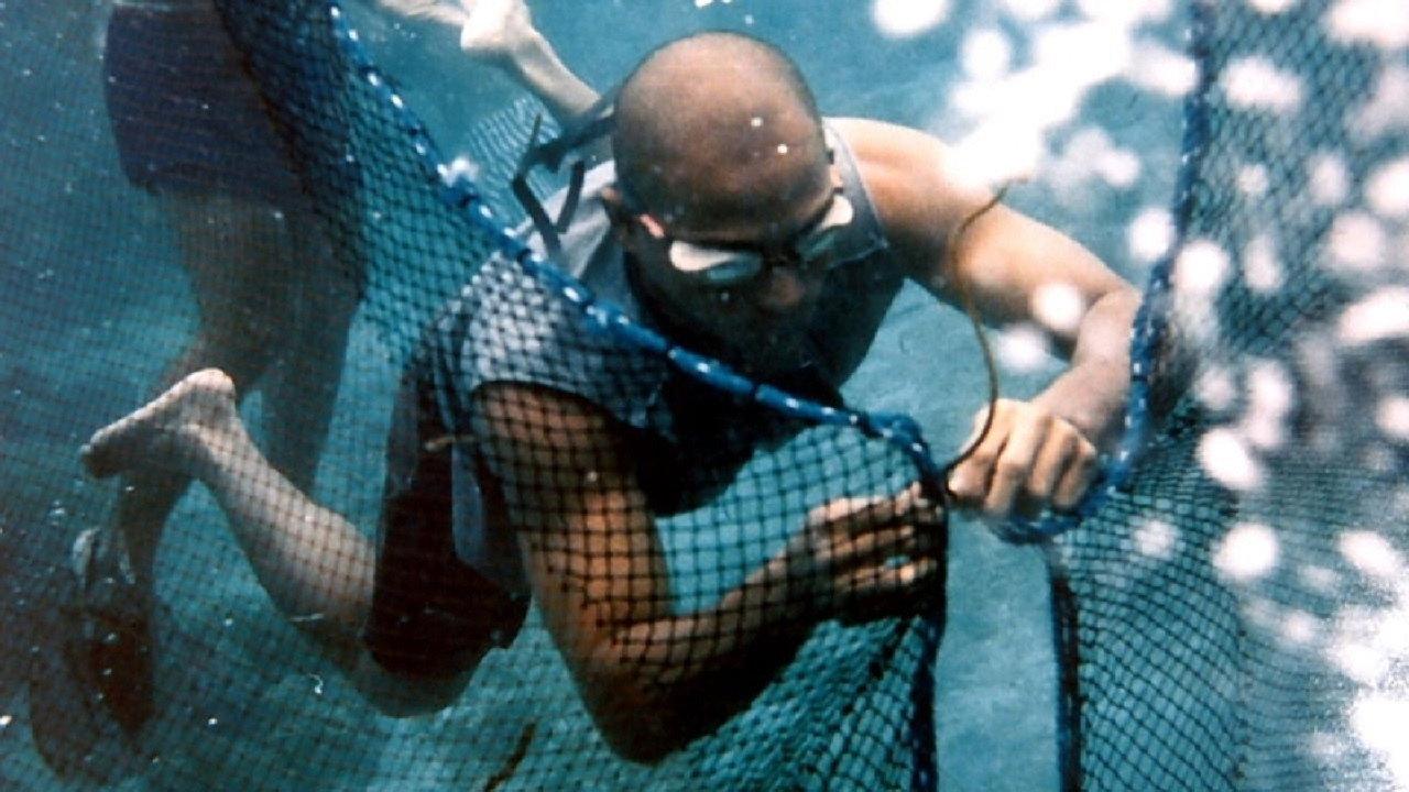 Reef Hunters 1999 movie scene