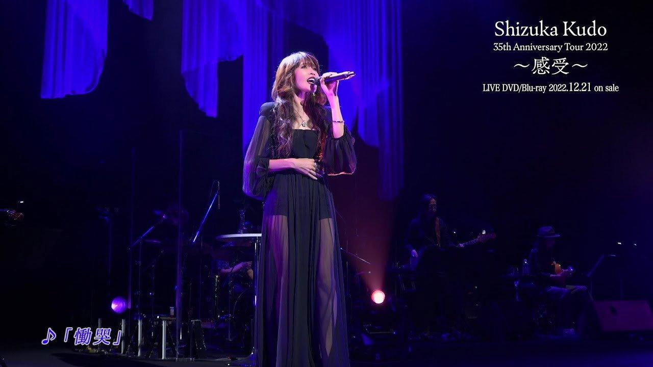 Shizuka Kudo 35th Anniversary Tour 2022 2022 movie scene