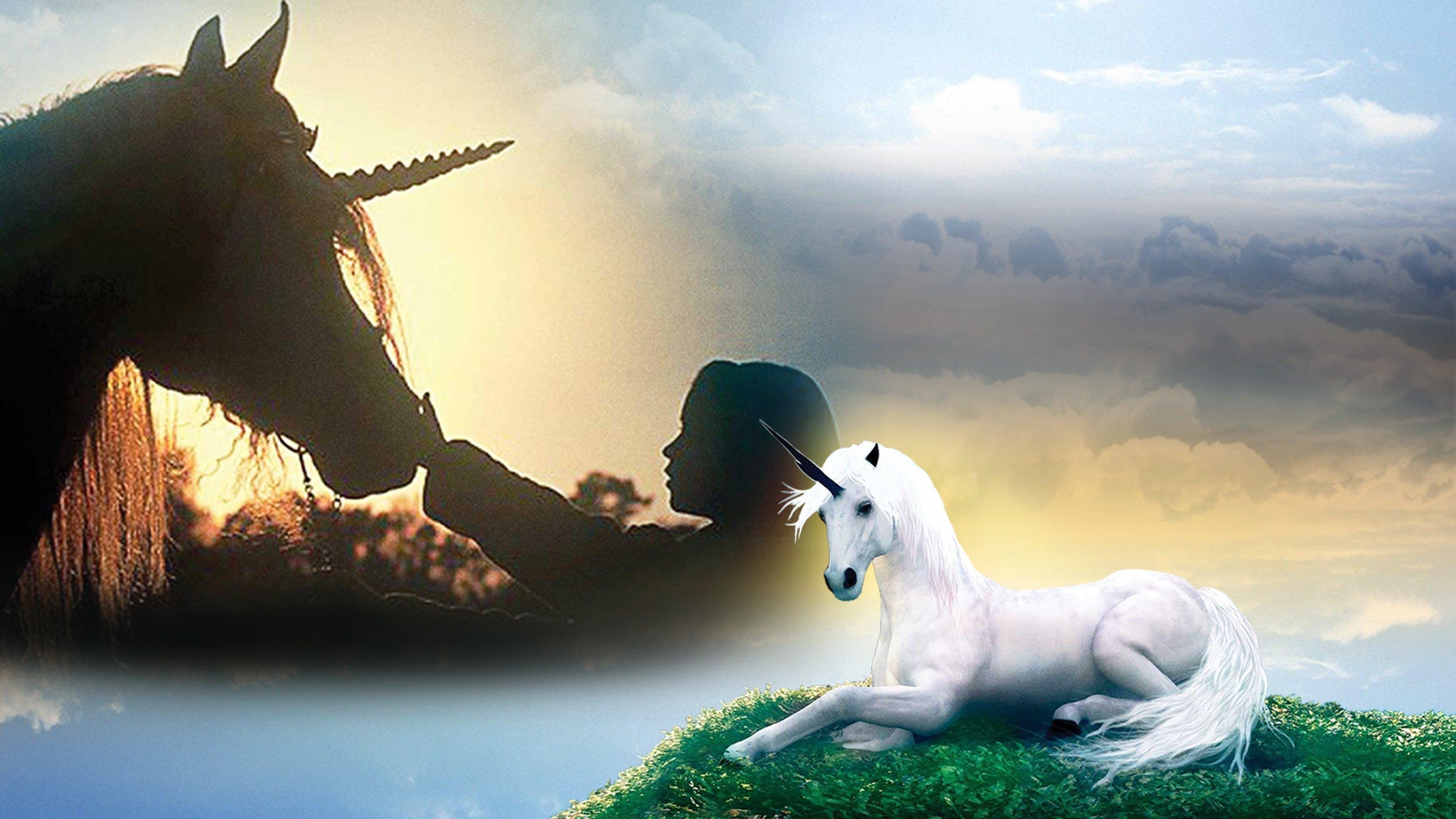 The Little Unicorn 2002 movie scene